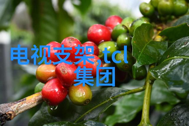绚彩入画探索艺术与技术的融合之美