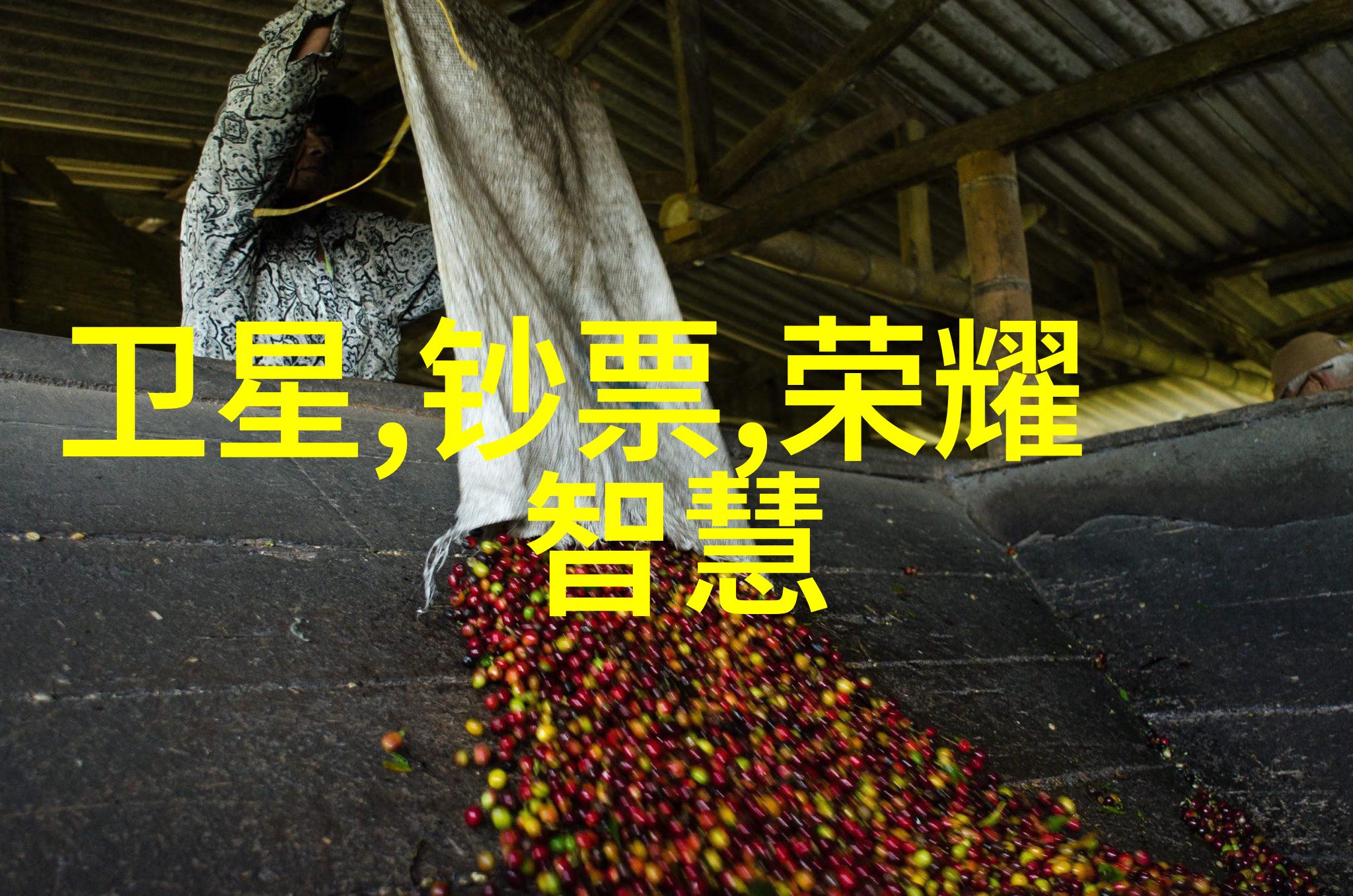 砂带机的工作原理与应用概述