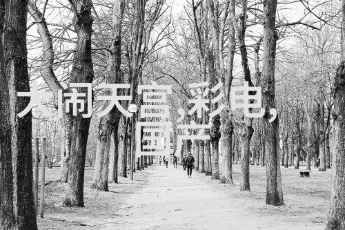 中药产业链中的关键角色大型提取浓缩设备解析