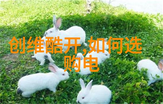 化工生产中的过滤技术与设备选择
