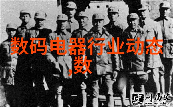 铝塑分离机-高效回收铝塑包装材料的绿色解决方案