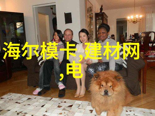 v型选粉机提升粉末精密分选效率的高科技解决方案