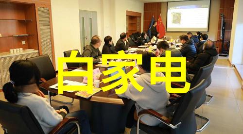 白家电节能型白家电产品与技术研究