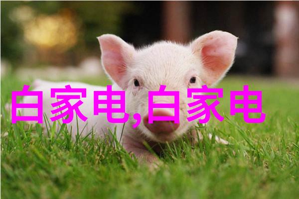 废水处理设备清洁环境的关键技术与装备