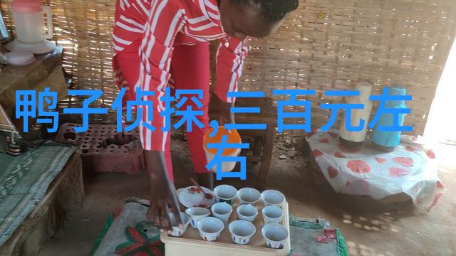 小型一体化污水处理成套设备我的家里的清洁新伙伴
