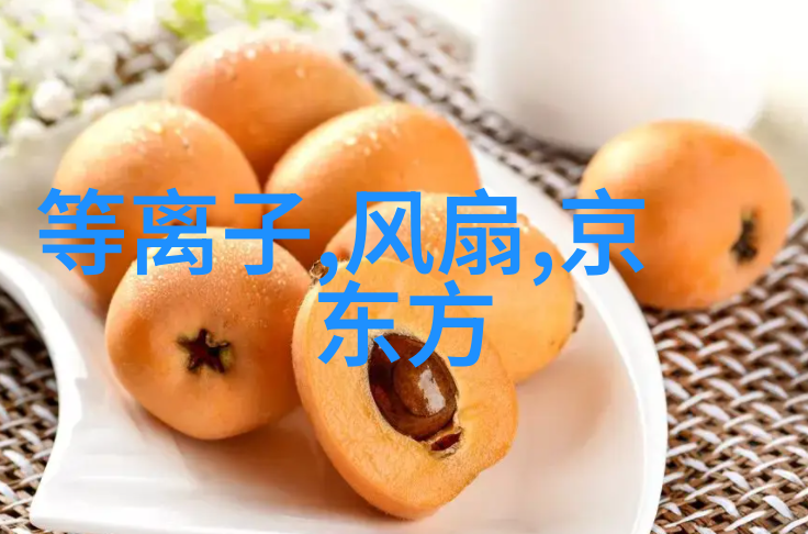 三瓣六瓣填料安装指南确保高效能表现