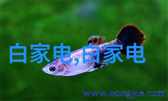 比较刺激的H公共场合小说-禁忌之地公共空间中的秘密欲望