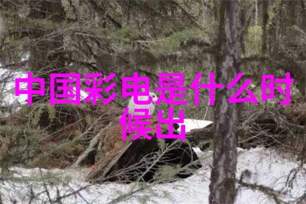 室内色彩搭配技巧有哪些