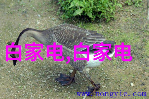 天津智慧交通系统引领城市未来发展潮流