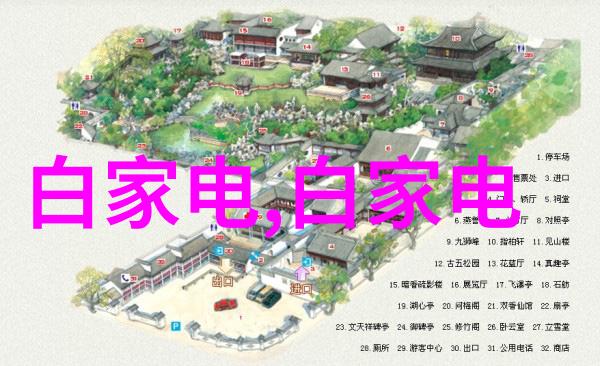 如何提高摄影技巧拍写真比如掌握光线的运用学习构图技巧实践多样化的拍摄风格