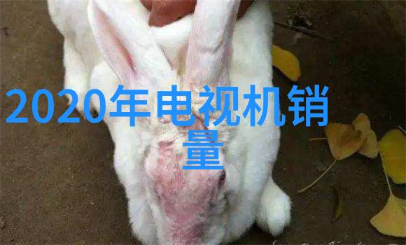 dds-11a电导率仪在食品安全监控中的应用研究