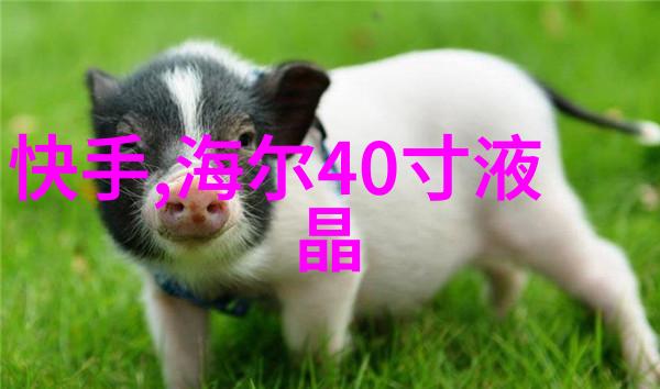 上海装修设计公司城市美学的创作者