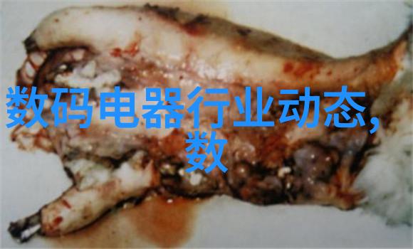 小巧宜人30平米一居室的装修艺术