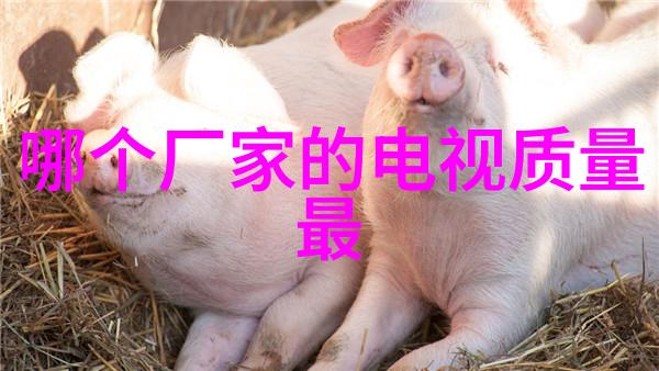 环氧乙烷灭菌口罩好吗 - 杀毒防护环氧乙烷灭菌口罩的选择与优势
