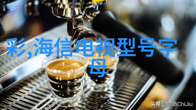 十字门与对开门冰箱的选择之谜哪种设计更适合现代家庭