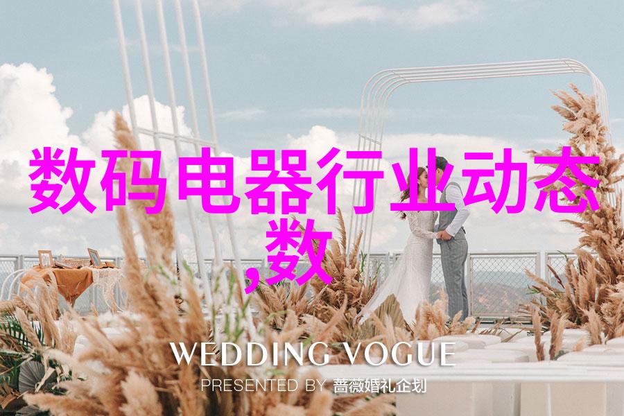 武藤兰系列魔术与爱情的交织
