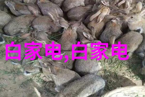 不锈钢丝网填料参数优化指南