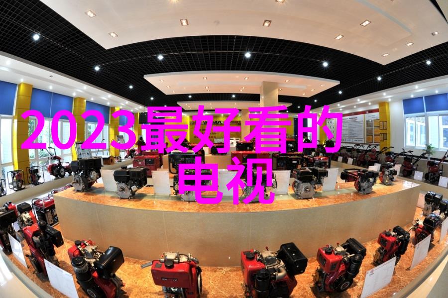 东哥的苏玛丽故事一段温馨的阅读旅程