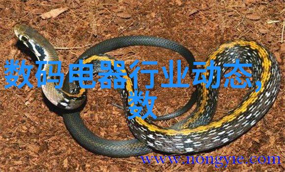 水质检测TDS值的重要性与好坏标准