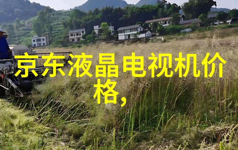 温馨宜居的排屋别墅装修设计之道