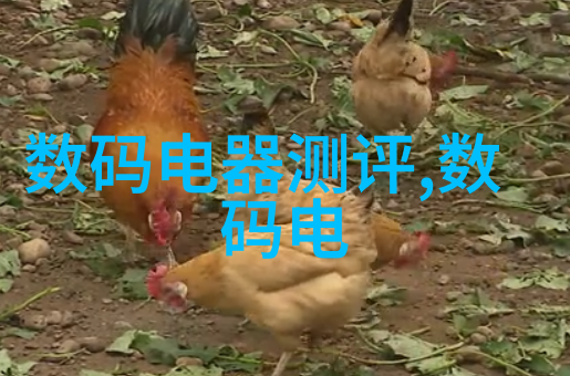 家居装修中的塑料排水板选择与应用技巧