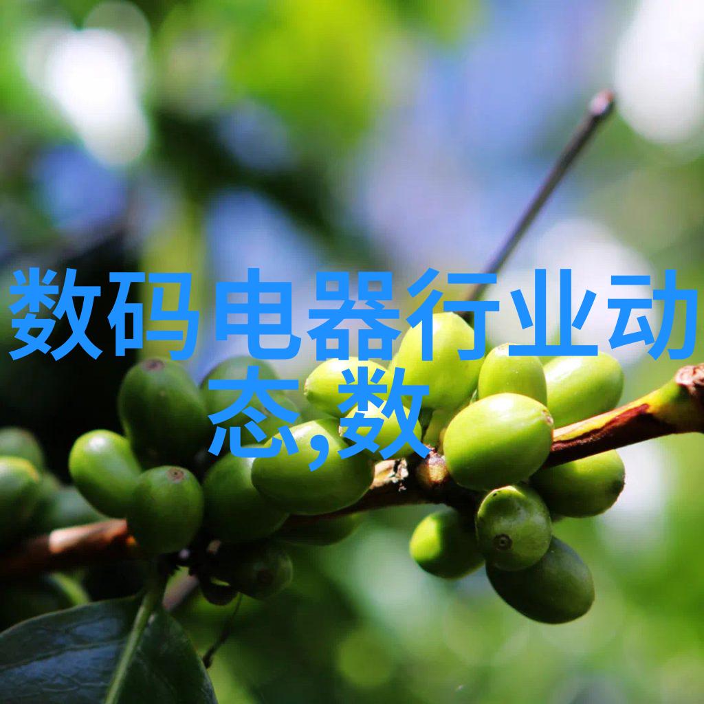 煤炭分选机-摇摆在黑色资源海洋中的巨轮煤炭分选机的技术进步与应用实录