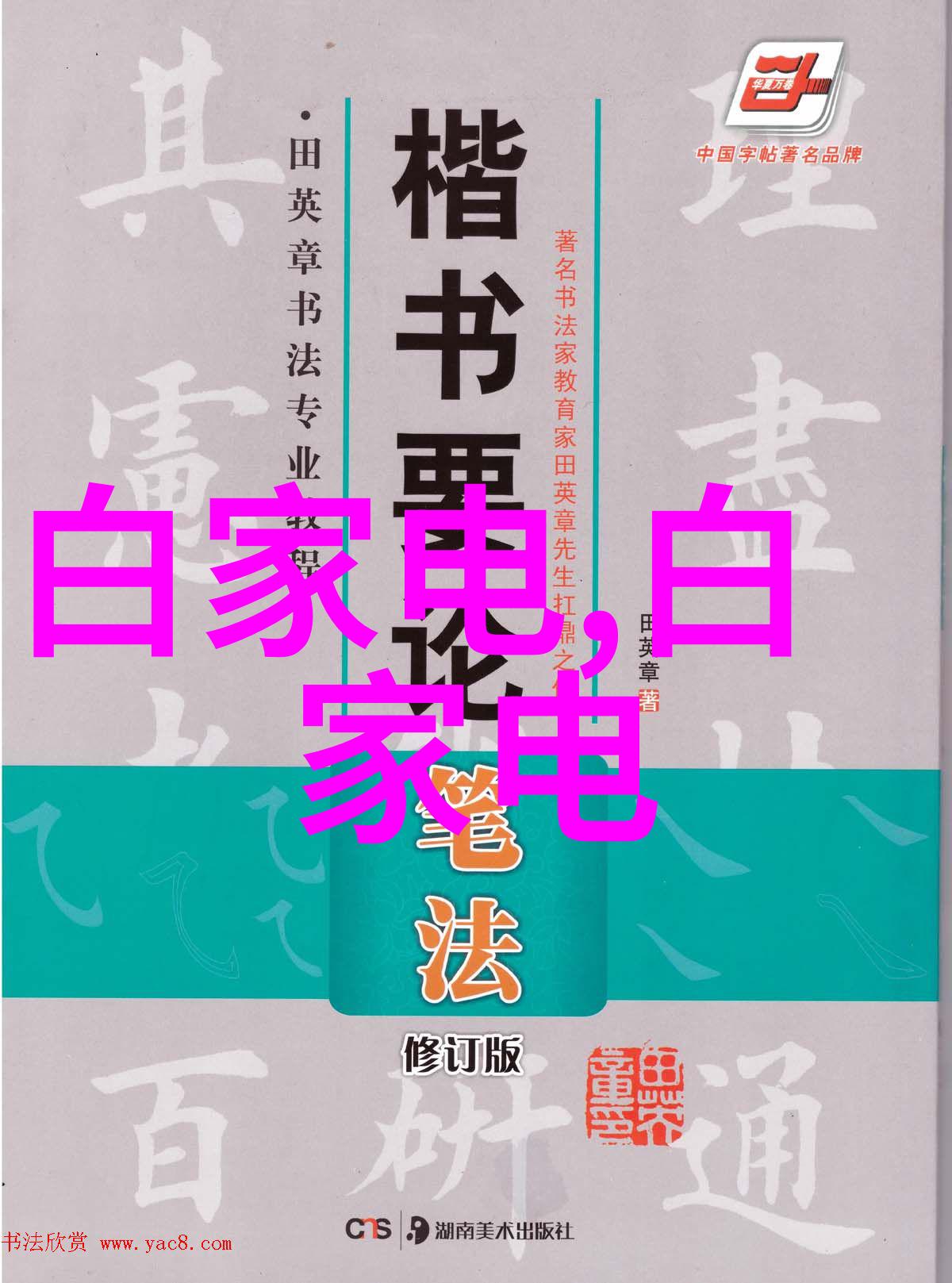 材料科学-PVDF规整填料在高性能应用中的研发与应用探究