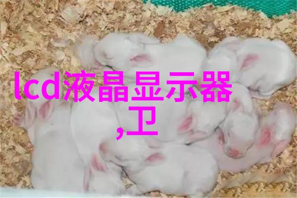 日本美食日本的美味佳肴