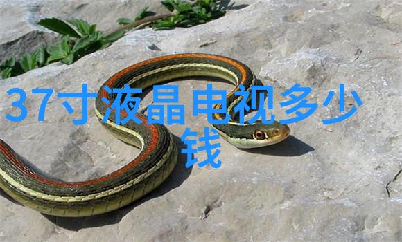 什么是管材型号它在工程中的作用又是怎样的