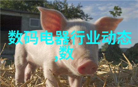 PVC管与PPR管的区别研究材料性能应用范围与环境影响对比分析