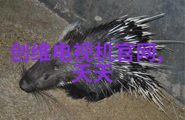 水净化设备清洁源自科技的滋润