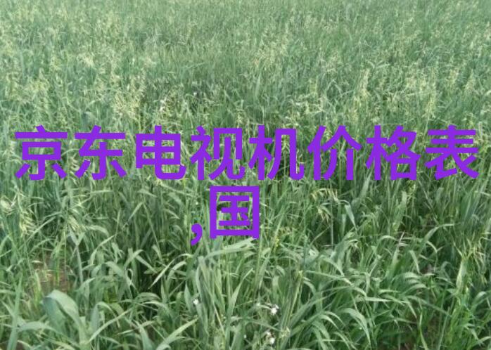 集成电路工资太高了-半导体产业的薪酬风暴集成电路工资太高了的背后原因与影响