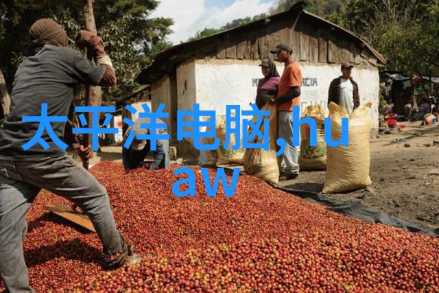 中国财经信息网金融数据的窗口与引擎