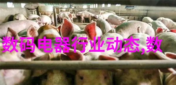 水电站建设中新技术应用对造价的影响