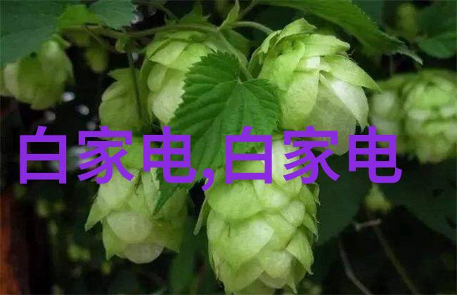在房地产开发中预备基金的作用与运作机制