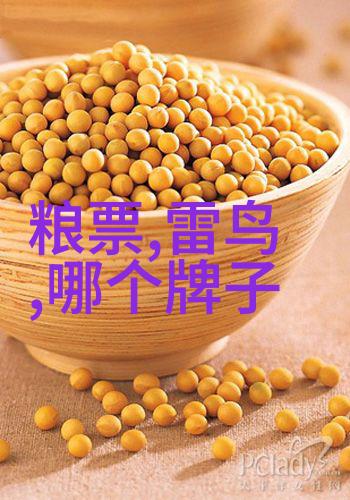 智能家居革命易来引领新生活方式