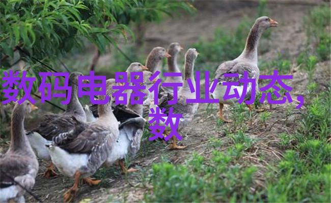 不锈钢规整填料尺寸精密金属磨具