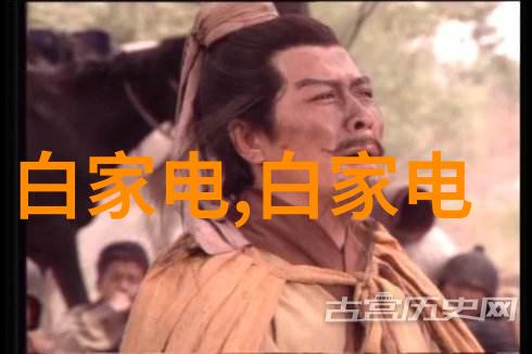 主题碧血洗银枪我是如何下载这部txt小说的