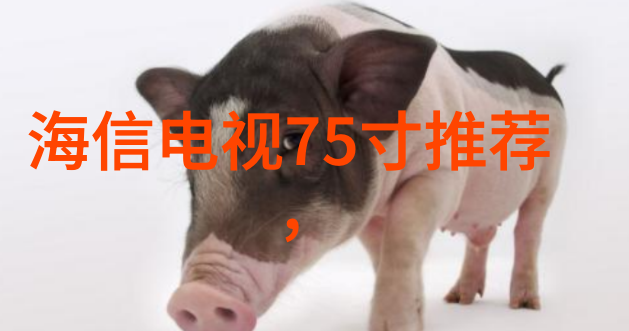 如何选择合适的二手实验室设备购买指南