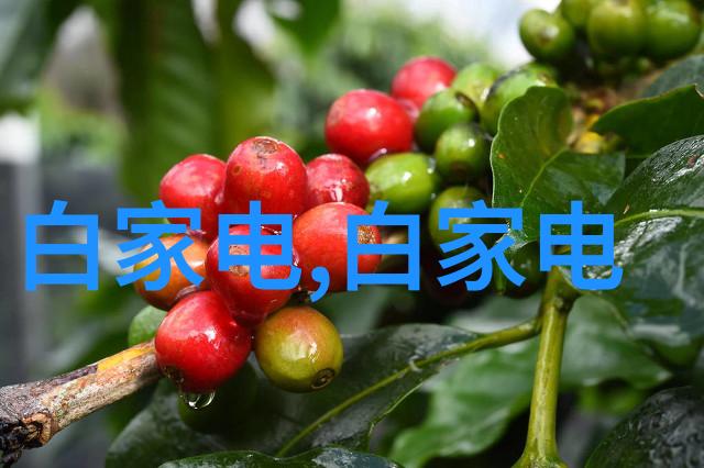 化工环境下的安全防护阀门的关键作用与选择