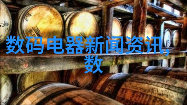 保安公司-守护安全服务社会探索现代保安公司的发展与挑战