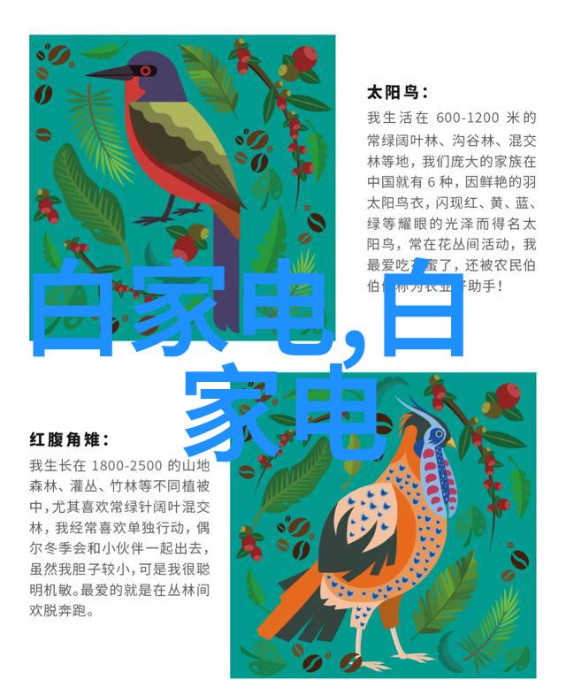 秘密填充揭开imtp背后的神秘面纱