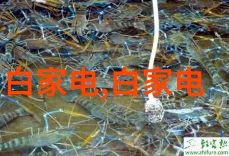 水平仪的精确之谜