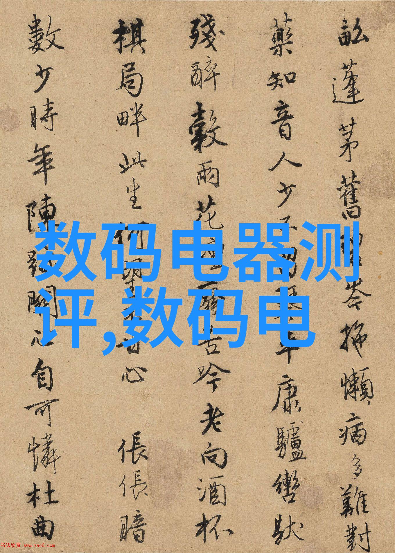 公交之旅一段不懈追求的故事