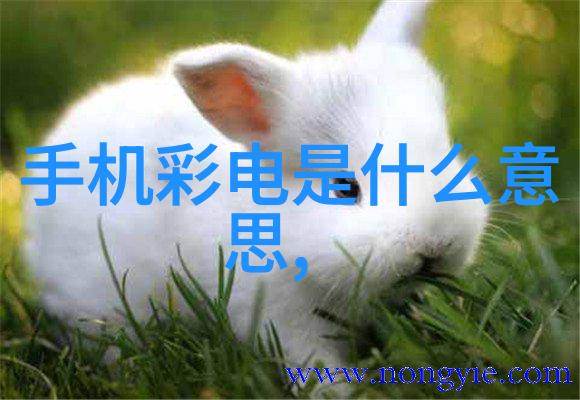 混搭奇迹揭秘史上第一份让世界震撼的文本艺术