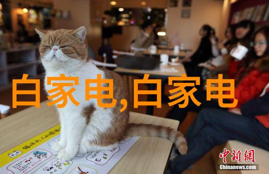 青岛实验室设备高科技助力科研进步