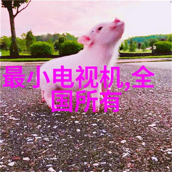 水管工程的新篇章揭秘110服务的真实价格
