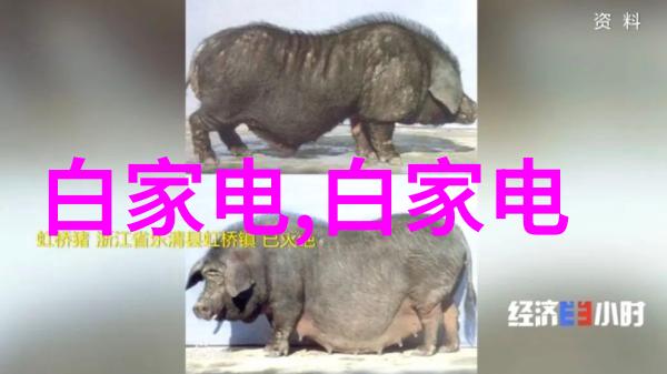 音响梦境一抽一出BGM流水声音软件下载