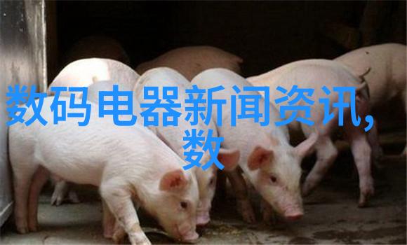 主题我是如何理解丝网填料密度的