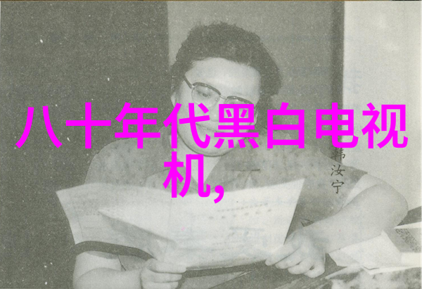 多功能流化床技术概述工作原理与应用